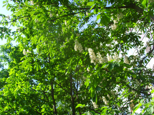 46402 (a): :1600x1200